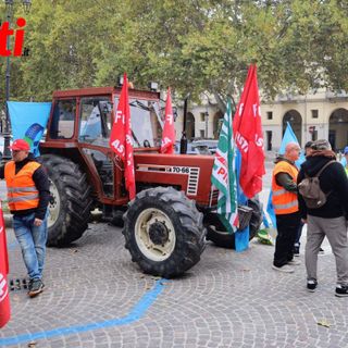 Le immagini del presidio (Merphefoto)