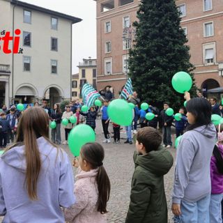 Galleria fotografica di Efrem Zanchettin - Video di Giulia Frontino Galleria fotografica di Efrem Zanchettin - Video di Giulia Frontino