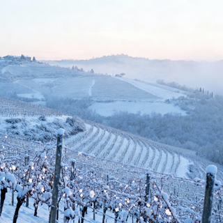 Prima neve di stagione sulla Langa astigiana: l'inverno arriva nel weekend