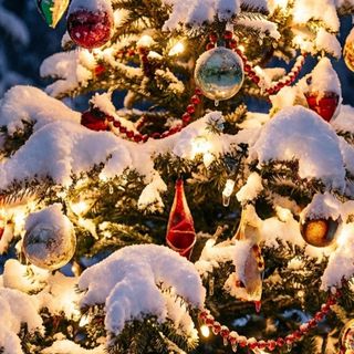 Natale con la neve: fiocchi a bassa quota tra Vigilia e Santo Stefano su Astigiano e Langhe