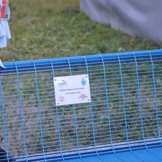 Galleria fotografica MerfePhoto