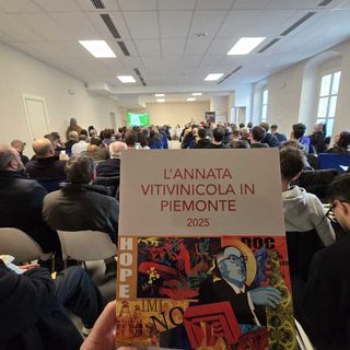Vendemmia da otto stelle per il Piemonte 2025, ma calano gli ettari di vigneto