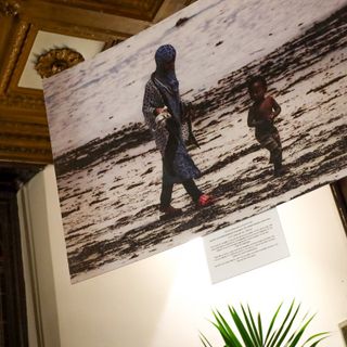 (Ph. Efrem Zanchettin)