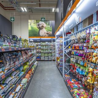 Happy Pets Days: la solidarietà arriva nei negozi OBI del Piemonte