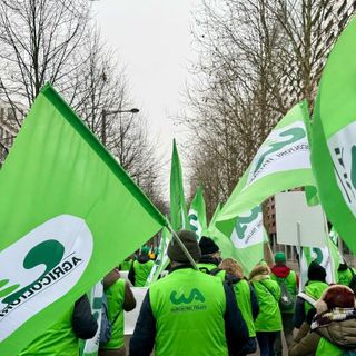 Le immagini della manifestazione oggi a Strasburgo