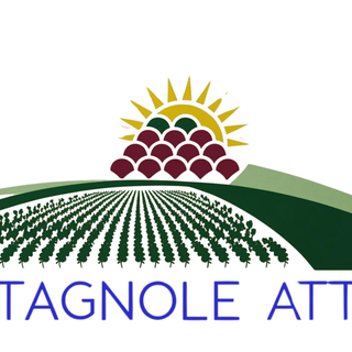Castagnole delle Lanze, il caso Cerere: il comitato rilancia con dieci domande all'Amministrazione
