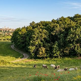 Immagine generata con il supporto dell'AI