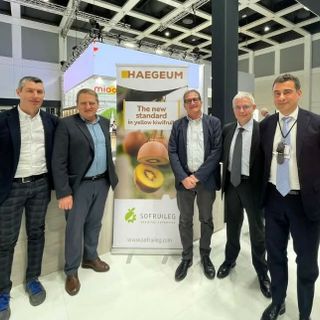 Frutticoltura piemontese, nuove opportunità per i produttori:  Orbita presenta il kiwi giallo Haegeum e le nuove pesche resistenti alla sharka