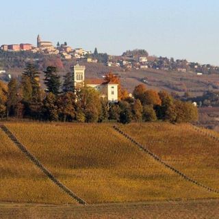 Enoteca Colline Alfieri: aperto il bando per un membro del Consiglio direttivo