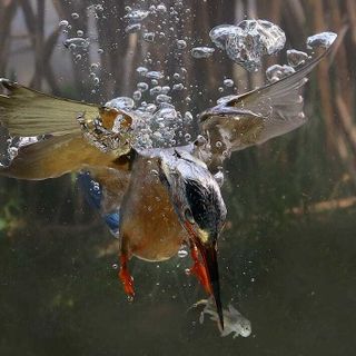 Alcune delle splendide fotografie in mostra