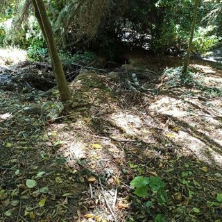 Parco Rio Crosio, allarme dei cittadini: “Fossi ostruiti e rischio frane”
