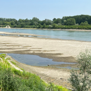 Siccità 2026, Confagricoltura Piemonte lancia l’allarme: “Danni per 2 miliardi, servono subito interventi”