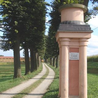 Mais e soia: una giornata dimostrativa alla Fondazione Podere Pignatelli
