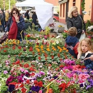 Un'immagine di una precedente edizione della fiera mottese