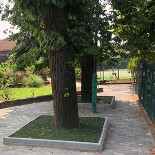 Ambiente, Miroglio: &quot;Nella scelta dei siti sportivi evitiamo di sacrificare alberi&quot;