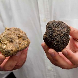 Viviamo in un posto bellissimo che s’è perso nell’oro