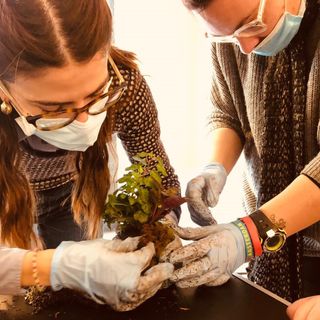 Volontaria con disabile e piantina