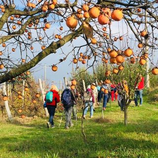 Foto Camminare Lentamente