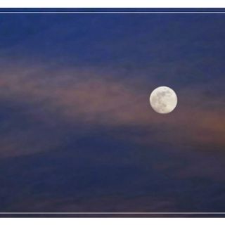 Ph Merfephoto