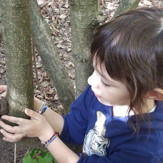 Domani a Serravalle si presenta il libro &quot;Pedagogia del bosco&quot;, di Selima Negro