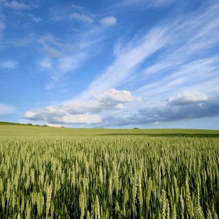 Le tensioni tra Russia e Ucraina 'spaventa' anche il mercato alimentare