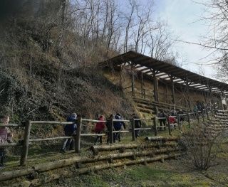 Domenica un appuntamento per scoprire il fascino dei fossili Domenica un appuntamento per scoprire il fascino dei fossili