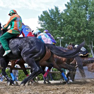 Un'immagine di una passata edizione del Palio di Fucecchio (foto Palio delle Contrade di Fucecchio)