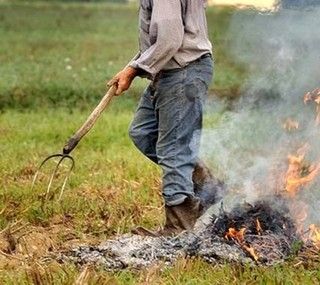 Legambiente Piemonte: “No alle deroghe agli abbruciamenti”