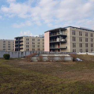 Il consigliere comunale Lombardi ringrazia l'Ospedale Cardinal Massaia: "Elevato livello di competenze professionali"