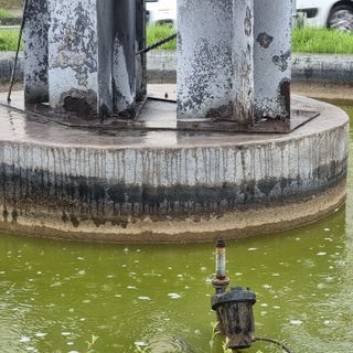 Intervento per rimuovere il putridume dalla fontana di corso Savona
