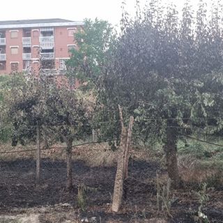 Centralini dei Vigili del Fuoco presi d'assalto per fumo in corso Alessandria, fortunatamente nulla di grave