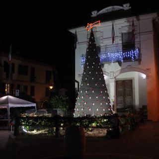 Albero di Scurzolengo