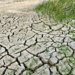Siccità, la Regione ha chiesto urgentemente la convocazione di un osservatorio sulla crisi idrica