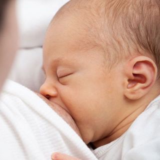 &quot;Allattare al nido si può&quot;: importante iniziativa nei nidi comunali