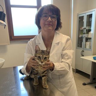 La dottoressa Cerrato con King, primo paziente del nuovo centro veterinario