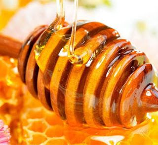 Apicoltura