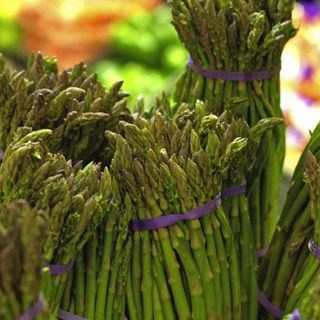 Asparagi saraceni