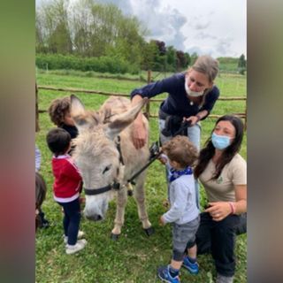 Uno degli asini insieme ad alcuni bambini in visita al lago