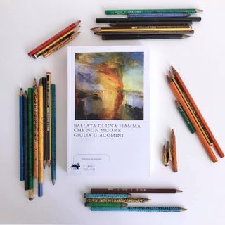 L’immagine di copertina è la riproduzione de “L’incendio delle Camere dei Lord e dei Comuni” di William Turner, rappresentazione simbolica del fuoco alle istituzioni e simbolo di cambiamento.