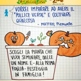 FavoleaCasa: Fata Zucchina legge e commenta “Pizza armonia” - racconto per l'anima