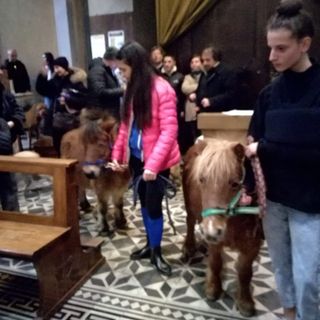 Domani alla parrocchia Santa Caterina di Asti una particolare messa per benedire gli animali