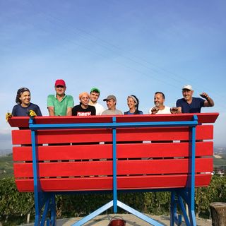 Si è chiusa la vendemmia 2019 per il Nizza Docg. Inaugurazione a Castelnuovo Belbo della Panchina gigante