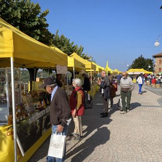 Al via a Castellero la quattro giorni dedicata alla nocciola dalla Fiera della nocciola allo Street food