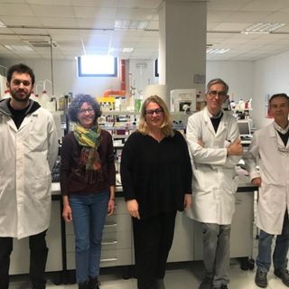 Compie 10 anni di attività il Centro Studi Vini del Piemonte