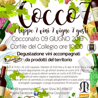 Escursione gastronomica a Cocconato d'Asti: 7 tappe, 7 vini e 7 gusti