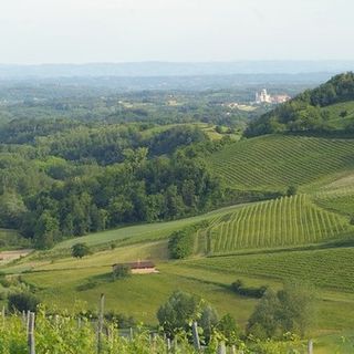 Domani ad Asti si inaugura il Festival del Paesaggio Agrario 2019