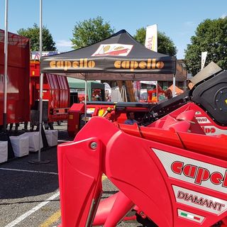 Capello, la raccolta dei cereali nel mondo è italiana