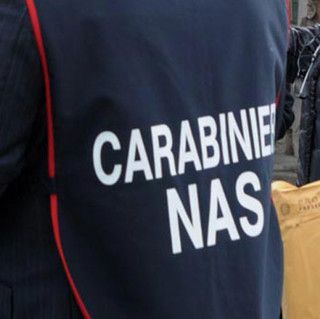 Topi ed escrementi a contatto con gli alimenti, Nas sequestrano pastificio etnico ad Alba (VIDEO)
