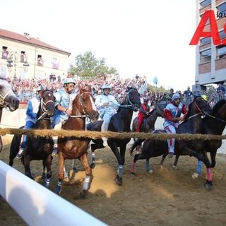 Cavalli al canapo in una precedente edizione dell'evento