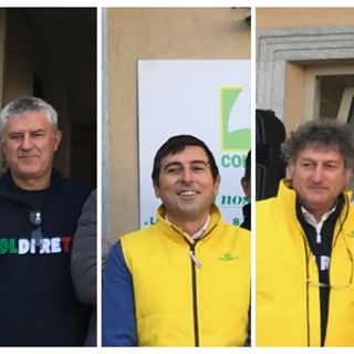 Nel collage fotografico, da sinistra a destra, il presidente di Coldiretti Asti Marco Reggio, il direttore Diego Furia e il vice direttore Luigi Franco
